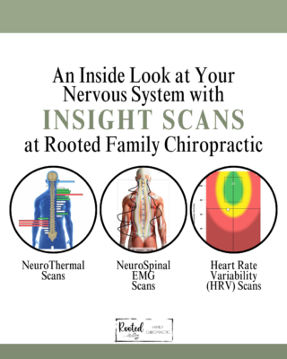 Common ADHD nervous system scan findings: EMG, thermal, and HRV patterns in kids