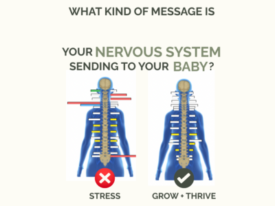 Prenatal nervous system scans